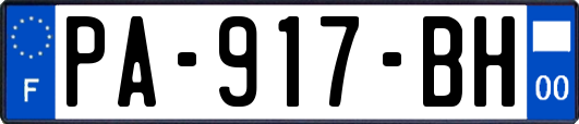 PA-917-BH