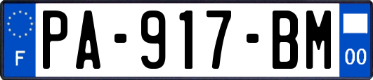 PA-917-BM