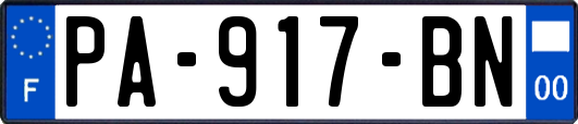 PA-917-BN
