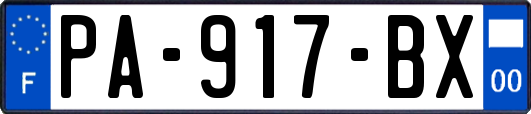 PA-917-BX
