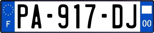 PA-917-DJ
