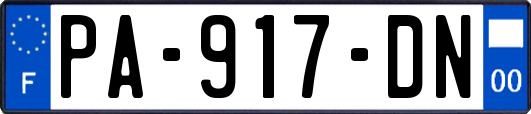 PA-917-DN