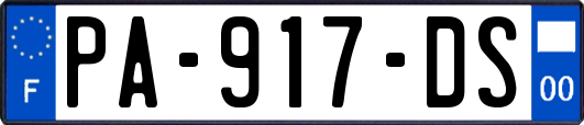 PA-917-DS