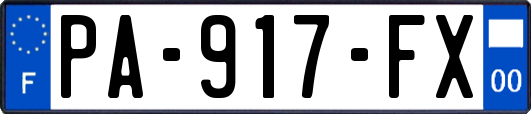 PA-917-FX