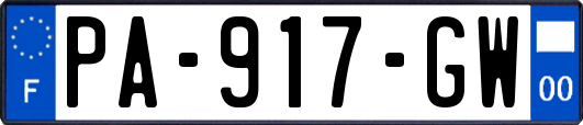 PA-917-GW