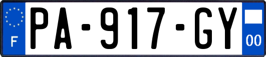 PA-917-GY