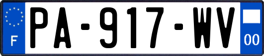 PA-917-WV