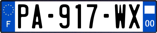PA-917-WX