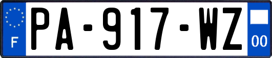 PA-917-WZ
