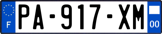 PA-917-XM