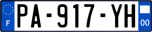 PA-917-YH