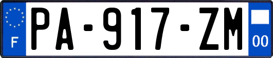 PA-917-ZM