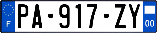 PA-917-ZY