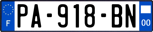 PA-918-BN