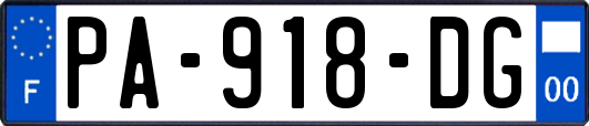 PA-918-DG