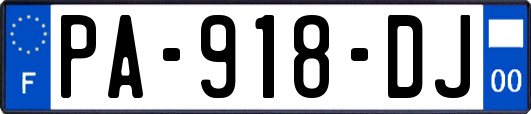 PA-918-DJ