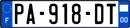 PA-918-DT