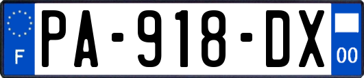 PA-918-DX