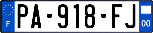 PA-918-FJ