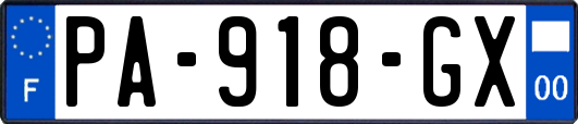 PA-918-GX