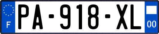 PA-918-XL