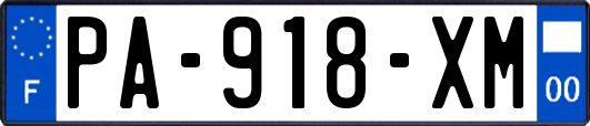 PA-918-XM