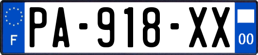 PA-918-XX