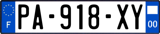 PA-918-XY