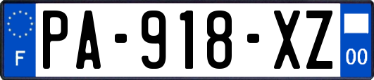 PA-918-XZ