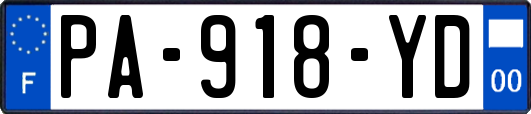 PA-918-YD