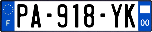 PA-918-YK