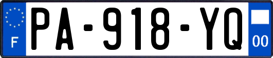 PA-918-YQ