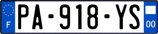 PA-918-YS