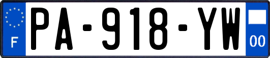 PA-918-YW