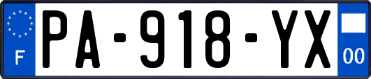 PA-918-YX