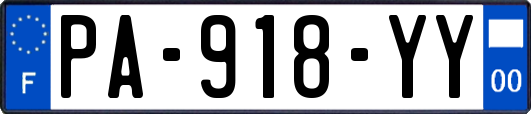 PA-918-YY