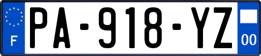 PA-918-YZ