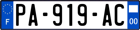 PA-919-AC