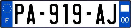 PA-919-AJ