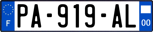 PA-919-AL