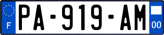 PA-919-AM