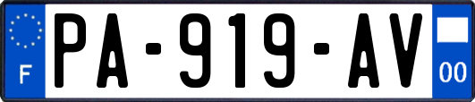 PA-919-AV