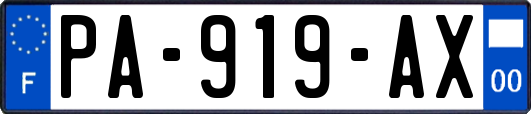 PA-919-AX