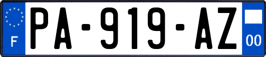 PA-919-AZ