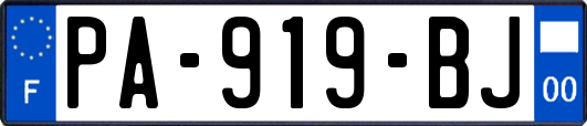 PA-919-BJ