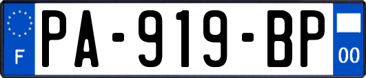 PA-919-BP