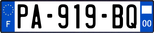 PA-919-BQ