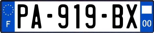 PA-919-BX