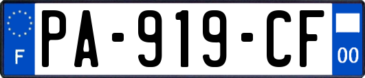 PA-919-CF