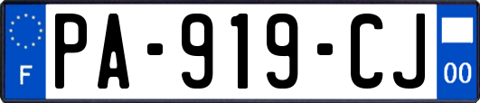 PA-919-CJ